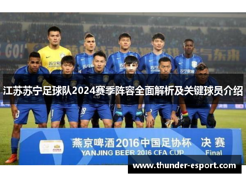 江苏苏宁足球队2024赛季阵容全面解析及关键球员介绍